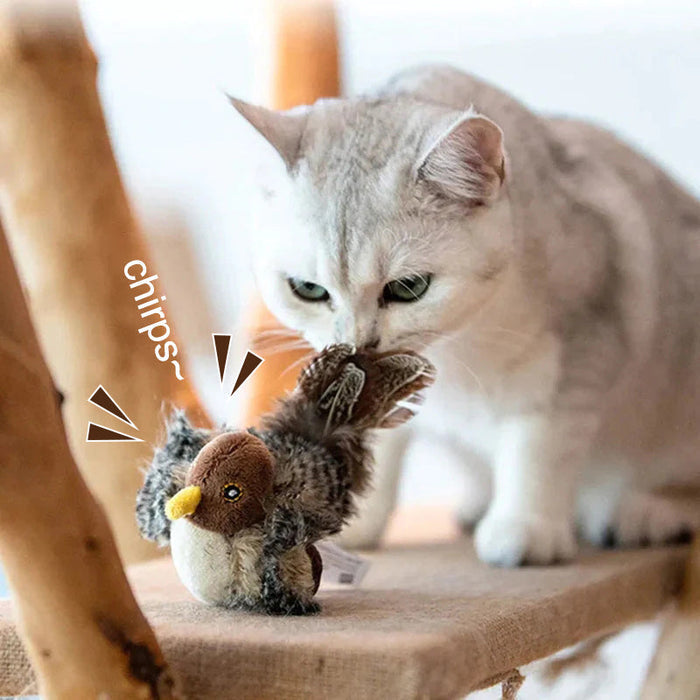 🐱 ΕΝΗΜΕΡΩΜΕΝΟ ΠΑΙΧΝΙΔΙ ΓΑΤΑΣ ΠΟΥ ΜΑΓΟΥΡΕΥΕΙ🐦-GR