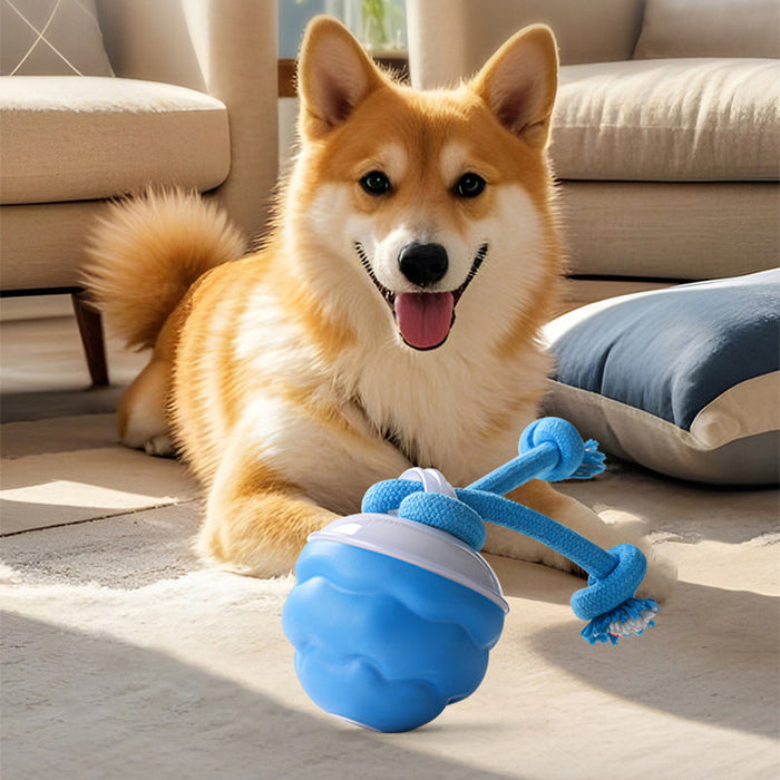 🐶Interaktivna elektronska pomirjujoča žoga za hišne ljubljenčke-SI