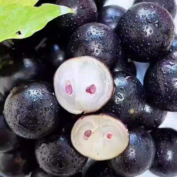 Jabuticaba vynuogių sėklos-LT