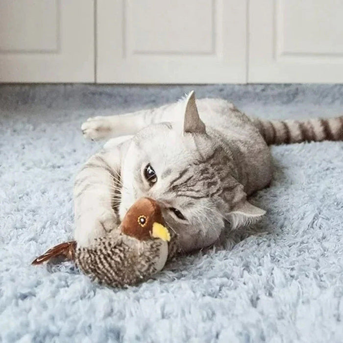 🐱 JUGUETE PARA GATOS CON MEJILLAS ACTUALIZADO 🐦-ES