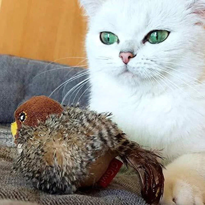 🐱 JUGUETE PARA GATOS CON MEJILLAS ACTUALIZADO 🐦-ES
