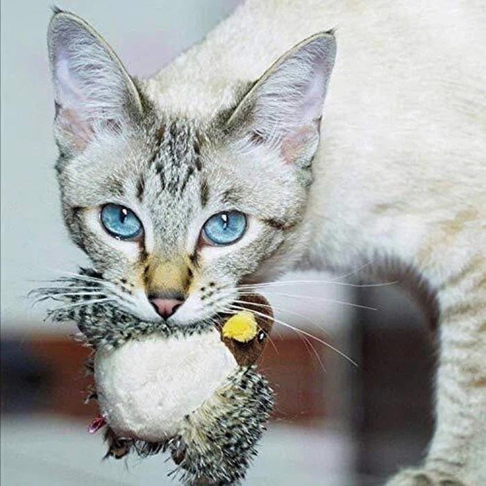 🐱 JUGUETE PARA GATOS CON MEJILLAS ACTUALIZADO 🐦-ES