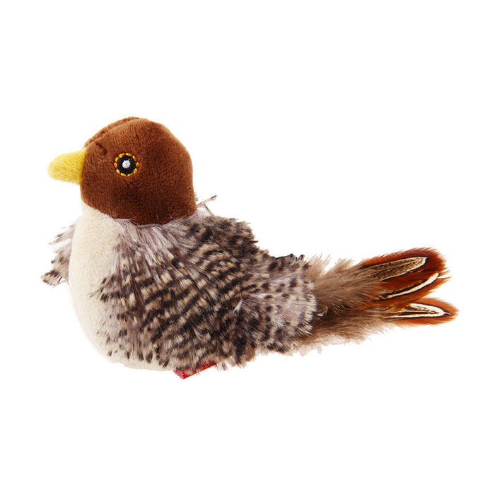 Pájaro