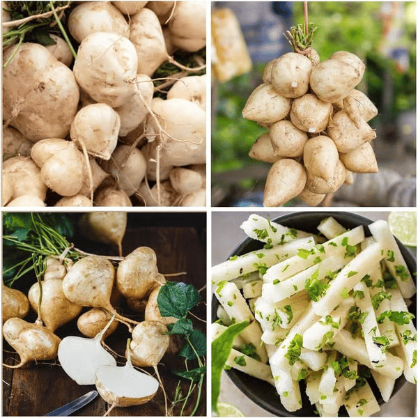 Oferta exclusiva💥Fruta crujiente rica, jugosa y nutritiva: jícama dulce para plantar en casa🍠-ES