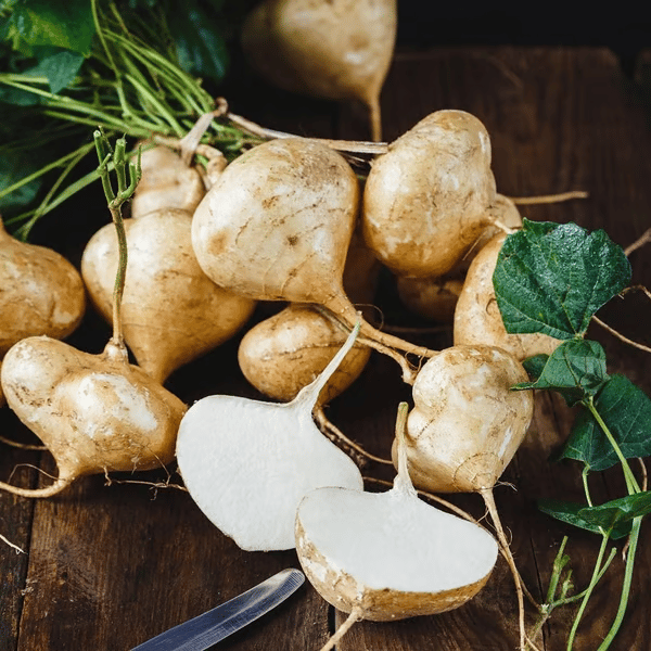 Oferta exclusiva💥Fruta crujiente rica, jugosa y nutritiva: jícama dulce para plantar en casa🍠-ES