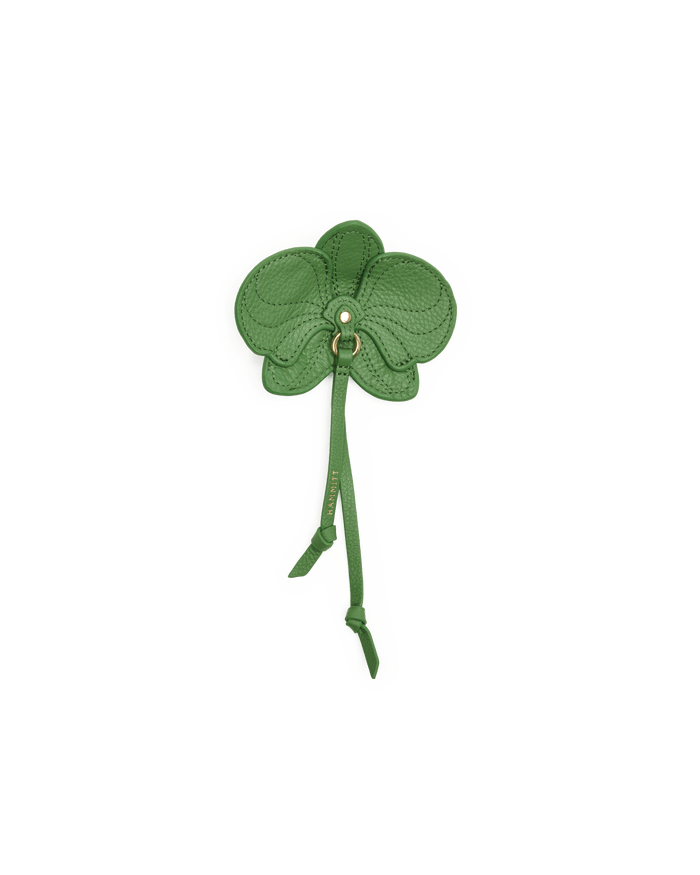 Green four-leaf clover patch on a black background