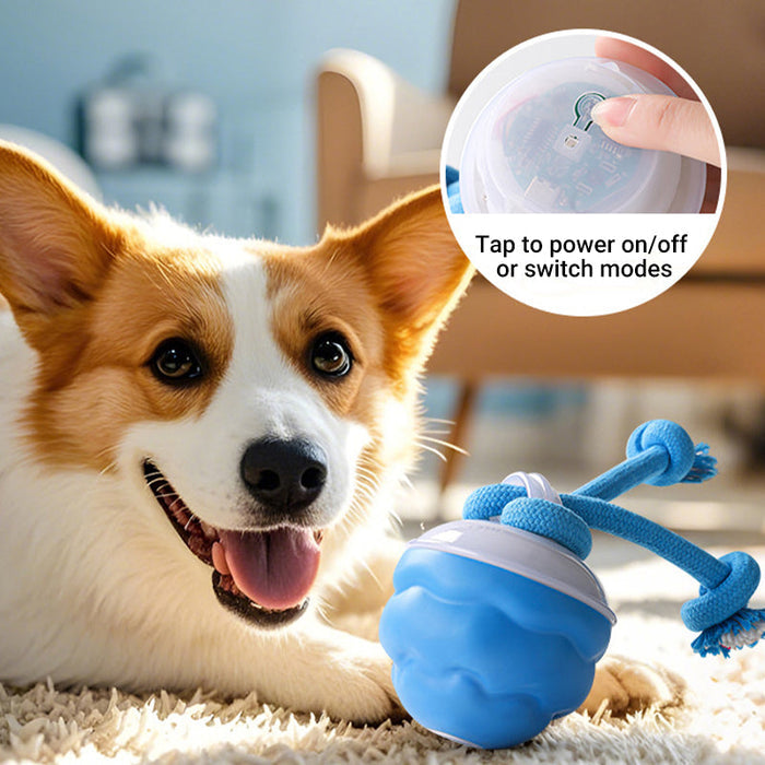 Pelota electrónica interactiva calmante para mascotas-ES