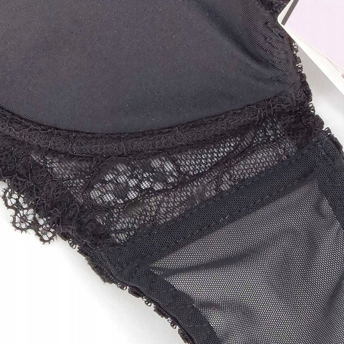 Triumph – (3 kom) Najprodavaniji model sezone, danas s 50% popusta-HR