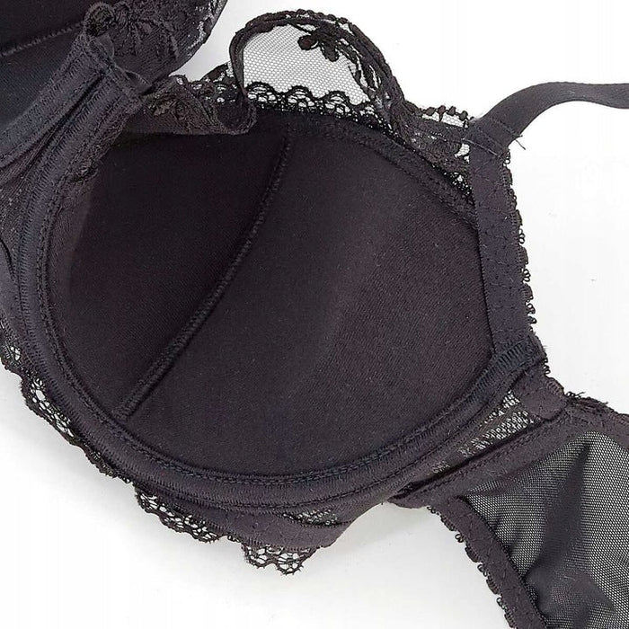 Triumph – (3 kom) Najprodavaniji model sezone, danas s 50% popusta-HR