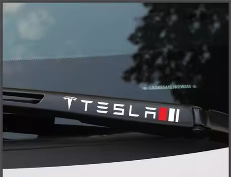 En blanco y negro / TESLA
